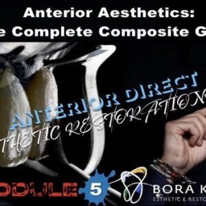 Anterior Aesthetics: The Complete Composite Guide