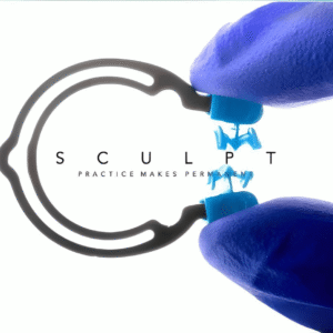 SCULPT Composite, Practice Makes Permanent