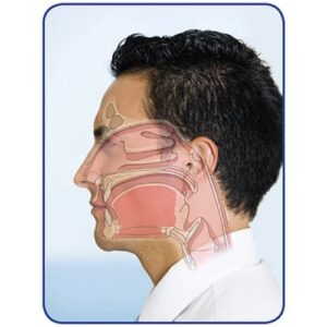 Series 3 Interactive Online Course – Successful Integration of Dental Sleep into your Practice – Jeffrey S. Haddad